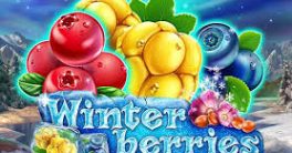 Winter Berries